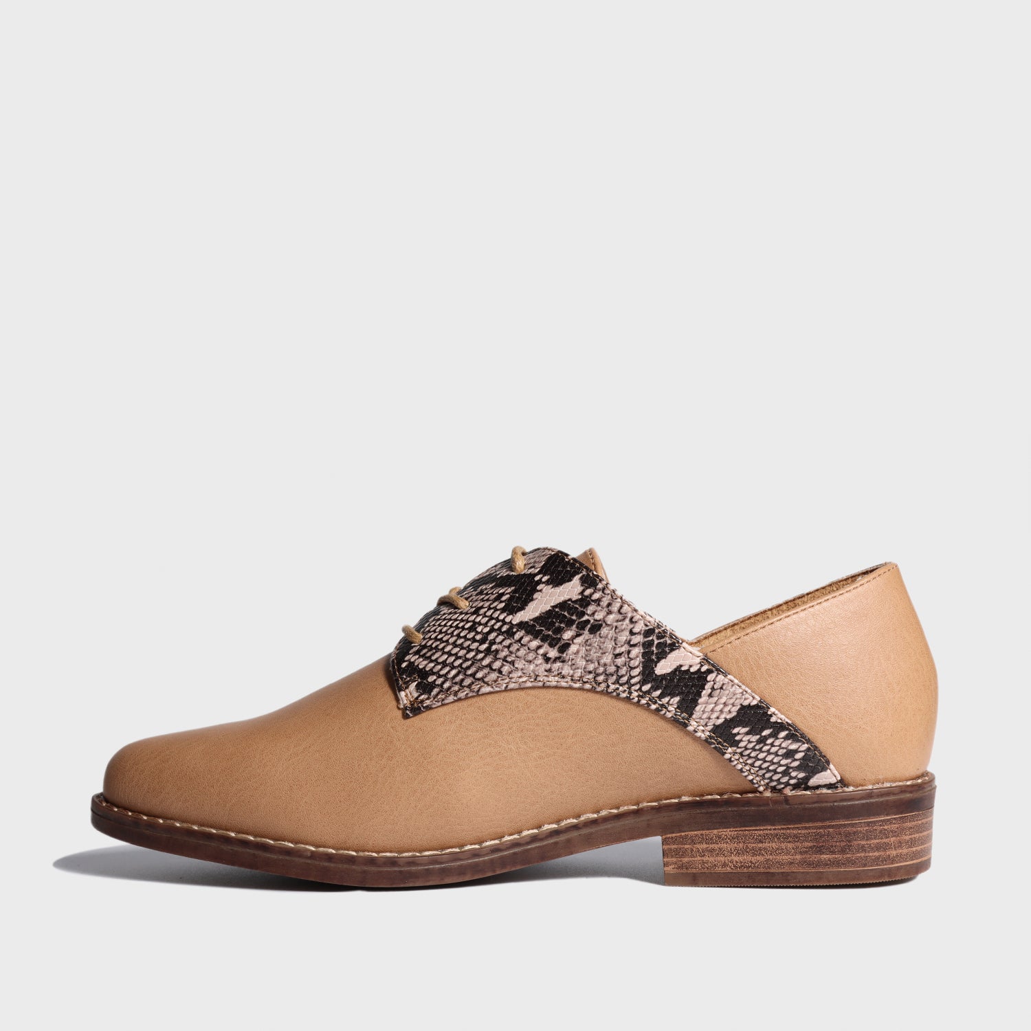 Zapato Café Mujer 17561